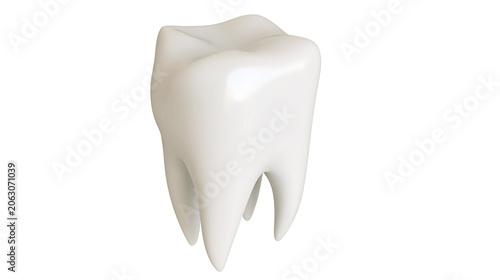 фотографія Healthy white molar tooth with roots