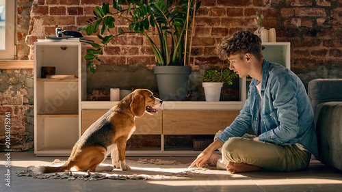 Schilderij op canvas Young man training beagle dog to sit in warm loft apartment