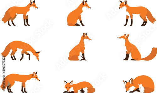 Quadro su tela Red Fox Vector Silhouette Icon Set with Sitting Standing Lying Down and Sniffing