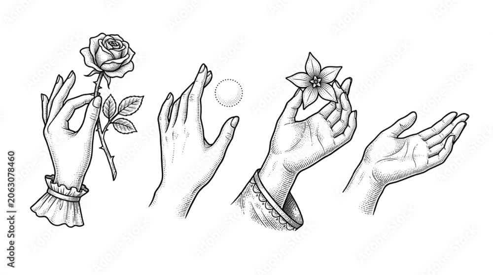 Fototapeta premium Vintage Engraved Illustration Set of Elegant Human Hands Holding Flowers and a Glowing Sphere for Artistic Design Projects