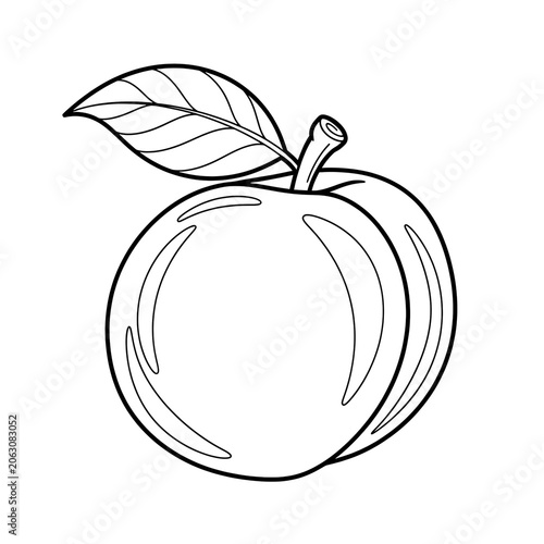 Minimalist black and white line art floral design illustration.