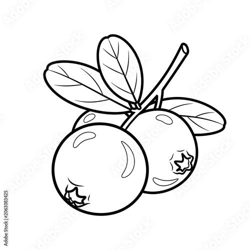 Black and white line art illustration of a blooming flower with butterfly.