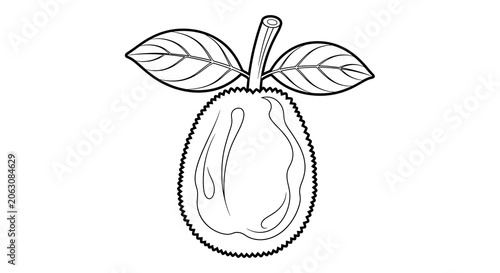 Minimalist line art illustration of a blooming flower in vase.