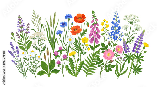Diverse Wildflowers Collection: Spring & Summer Floral Arrangement