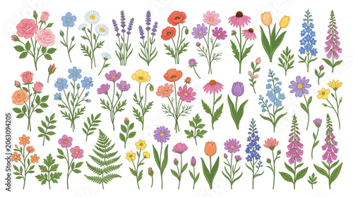 Drawn Assortment Of Botanical Garden Flowers And Plants Vector Illustration