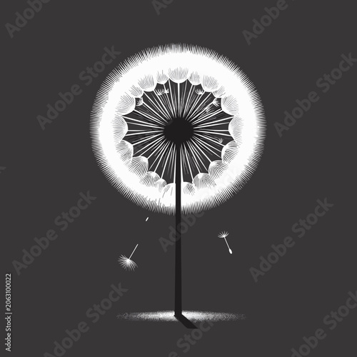 Dandelion silhouette with a whimsical design against a dark background
