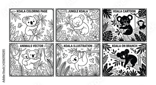 Photography Koala Bear Illustrations Black And White Vector Graphics