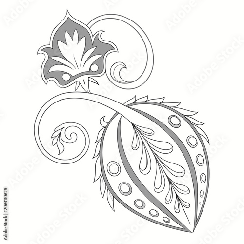 Elegant floral botanical motif in a decorative paisley and leafy style black and white line art botanical ornament