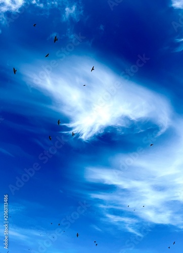 sea and sky Schwalben 