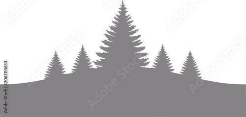 Obraz na plátně Silhouette of evergreen trees on a hillside