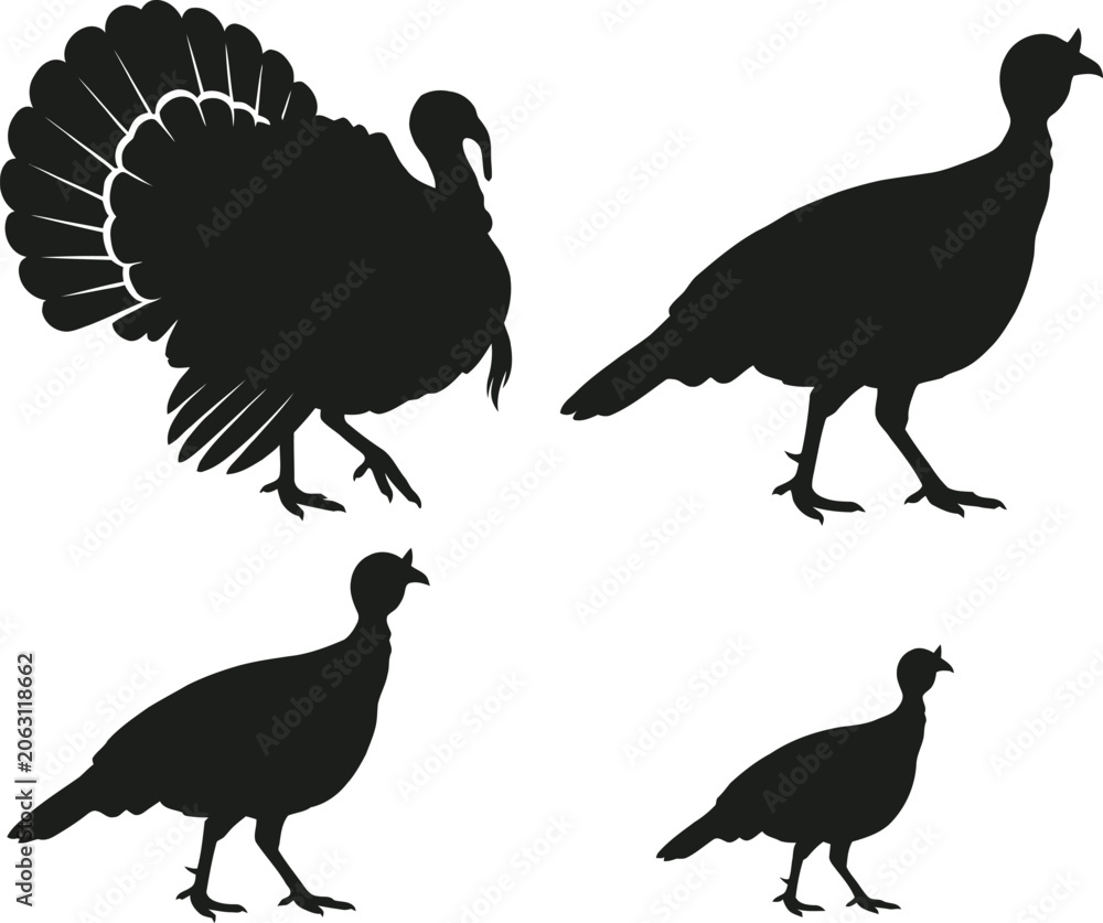 Obraz premium Turkey silhouette collection four poses for thanksgiving graphics