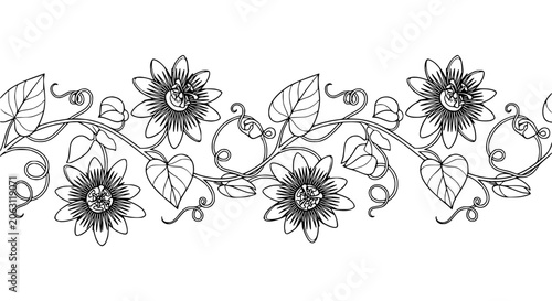 Botanical Border: Black and White Outline of Passion Flowers and Vines