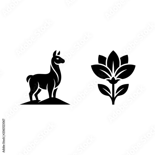 Cuadro en lienzo Llama standing on hillside and floral bloom graphic icon with botanical