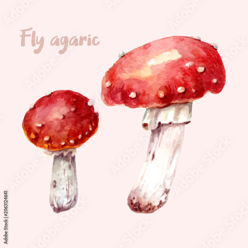 Watercolor fly agaric mushroom illustration with red caps and white stems. Hand painted forest fungus isolated on soft background. Natural botanical artwork for design, print and decor.