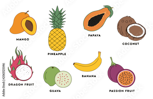  premium tropical fruit collection vector, mango, pineapple, papaya, coconut, banana, dragon fruit, guava, passion fruit, realistic flat illustration, isolated on white background, commercial packagin