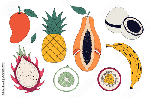 Fresh mango, pineapple, papaya, coconut, banana and exotic fruits in clean commercial illustration style