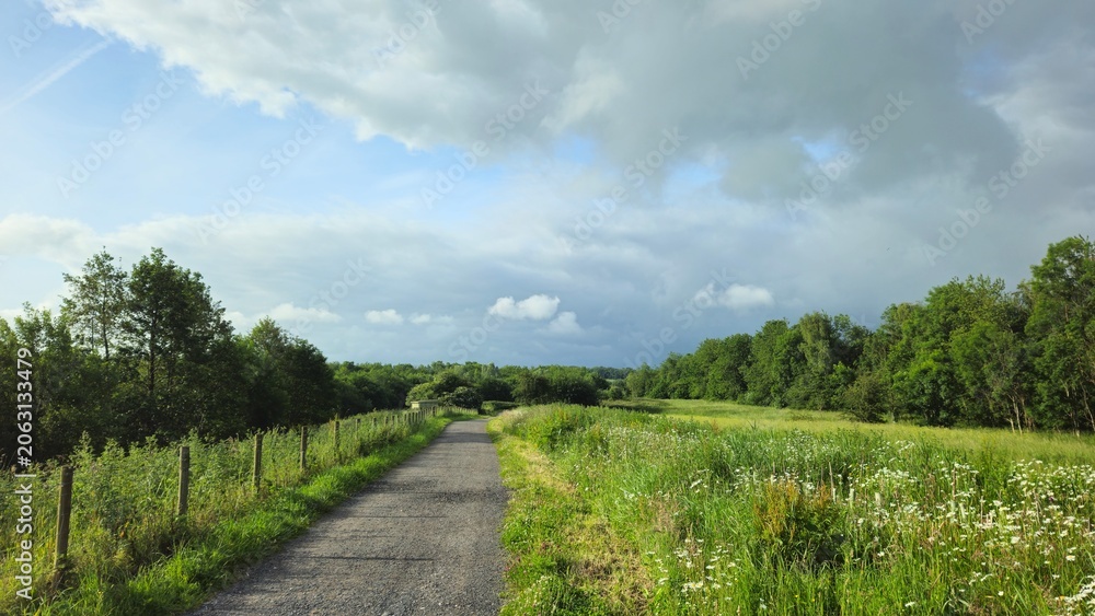 Fototapeta premium Brockholes Nature Reserve, Preston 