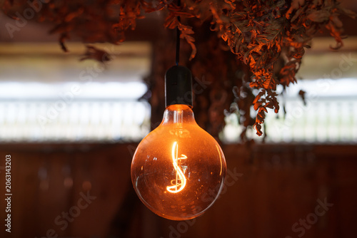 ceiling lamp and dried twig broom