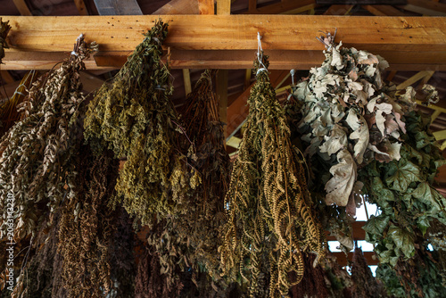 various herbs and tree leaf swabs for tinctures