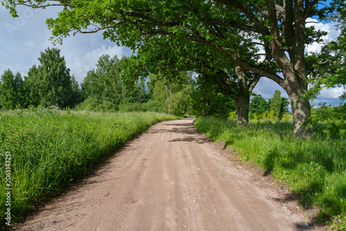 country road in the countryside