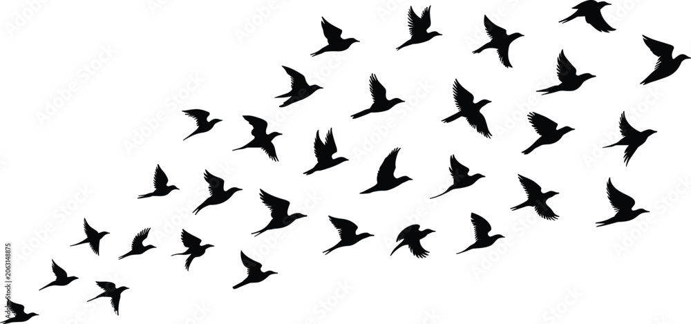 Fototapeta premium Dynamic flying flock of wild migratory birds black silhouettes collection isolated on white background freedom nature wildlife concept vector illustration graphicDynamic flying flock of wild migratory