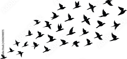 Canvastavla Dynamic flying flock of wild migratory birds black silhouettes collection isolat