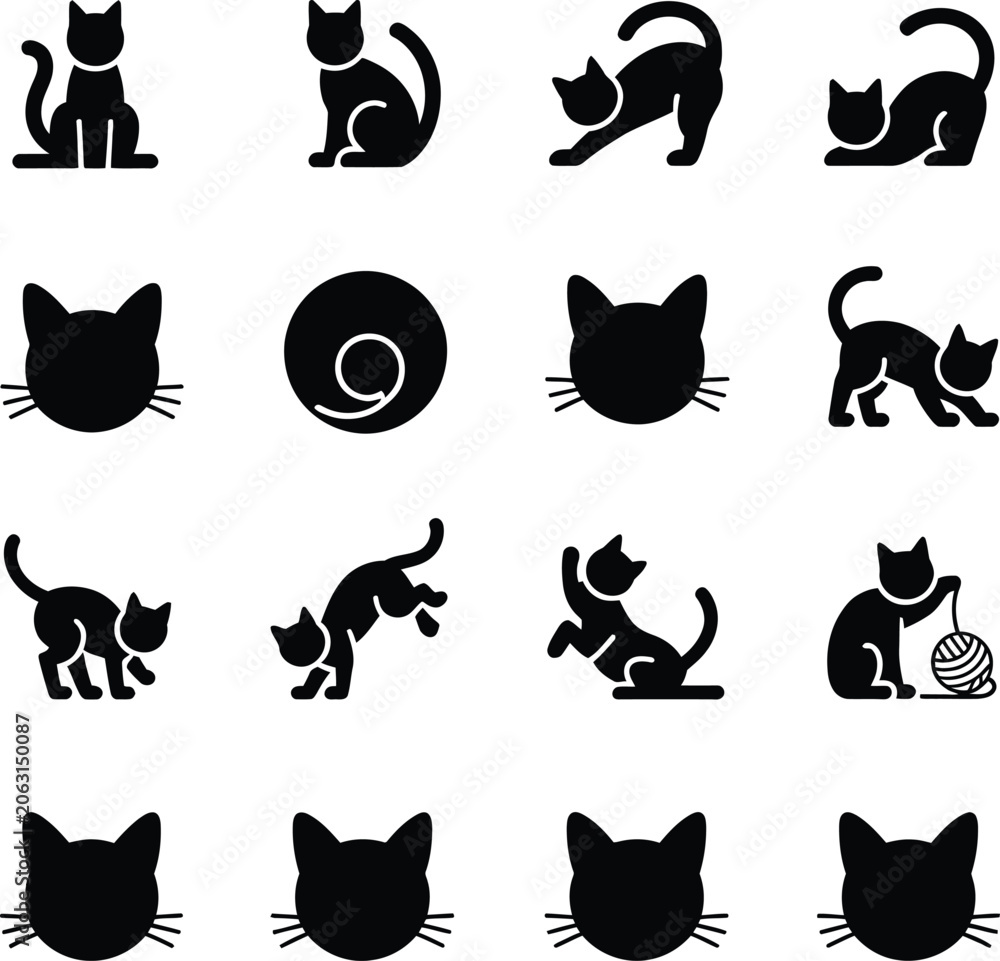 Fototapeta premium Black cat in various poses and actions cats feline animal