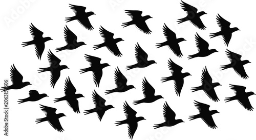 Konstfotografi Large flock of flying crows black silhouettes set isolated on white background w