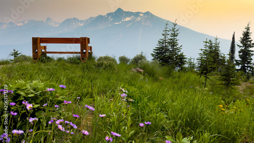 Mountain, Mount Revelstoke National Park, Canada (3).jpg