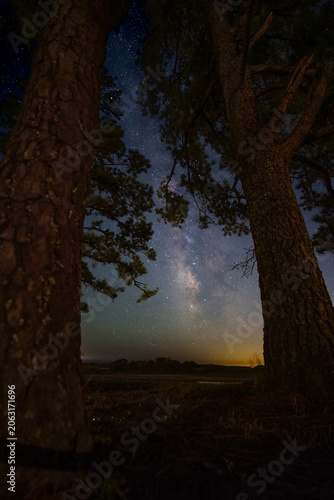 Stars, Milky Way, Assateague Island National Seashore,Chincoteague, Virginia