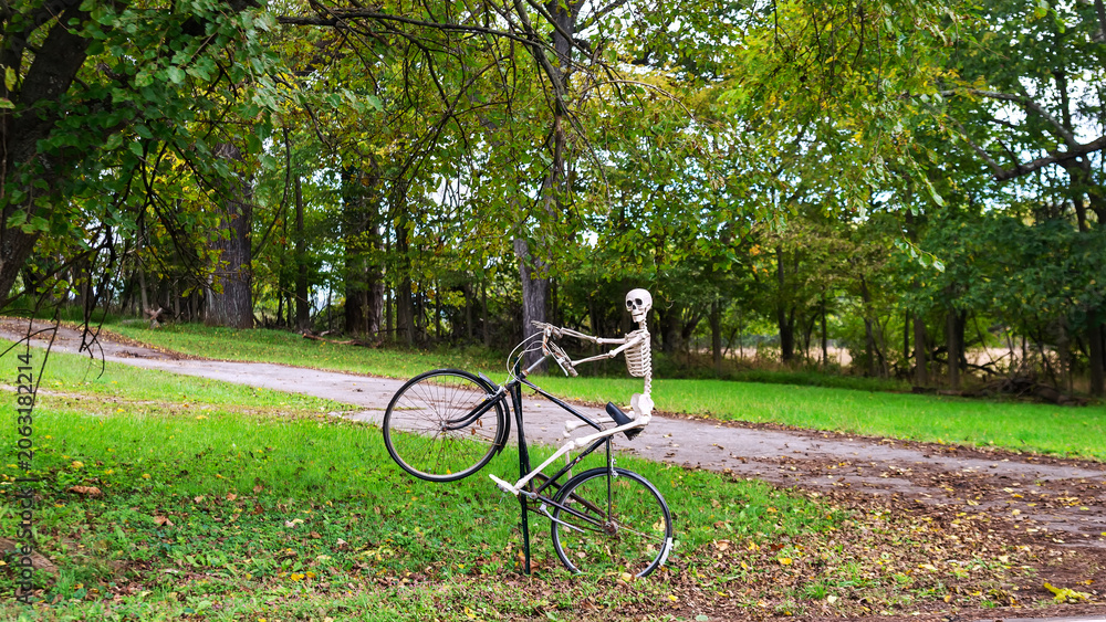 Fototapeta premium Decorative Skeleton On Old Bicycle Displayed Outdoors For Halloween Celebration