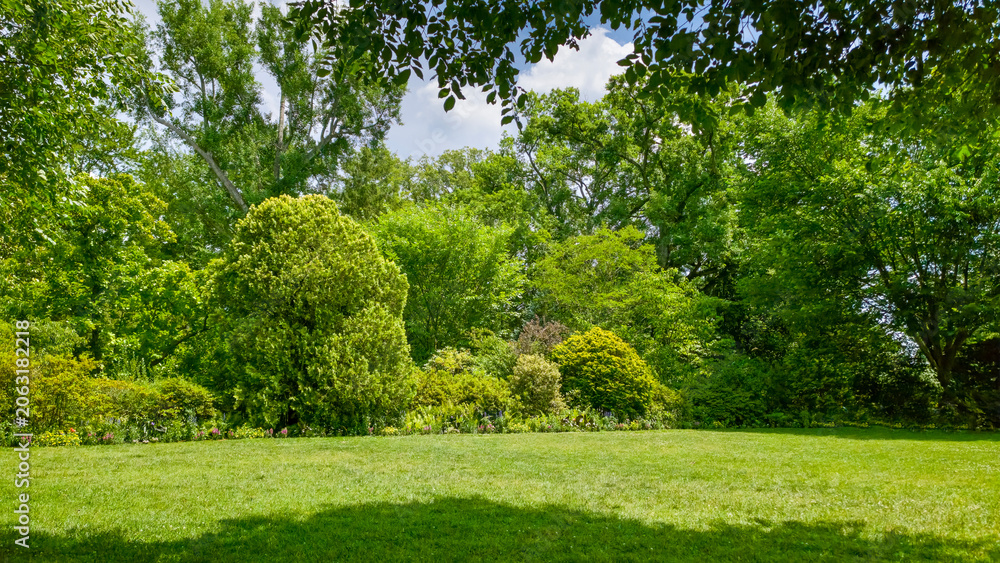 Naklejka premium Decorative park landscape featuring mature trees shrubs and manicured grass