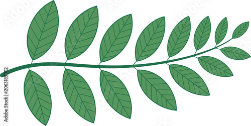 Stylized green branch with multiple oval leaves and visible veins on a white background 