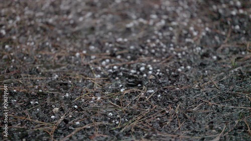 Rain and hail drums on wet pavement. No people, just water's rhythm against asphalt. Ideal for scenes of urban weather, driving, or moody atmosphere