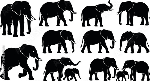 Tableau sur toile Collection of various elephant silhouettes in different poses and sizes on white