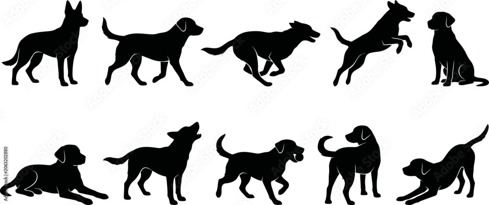 Obraz premium Set of black dog silhouettes in various poses and actions on white background
