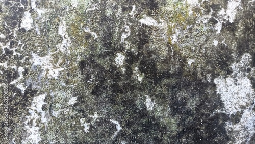 Moldy wall texture with dark stains and moisture patterns, ideal for grunge backgrounds, horror concepts, damp surface overlays, and abstract texture design