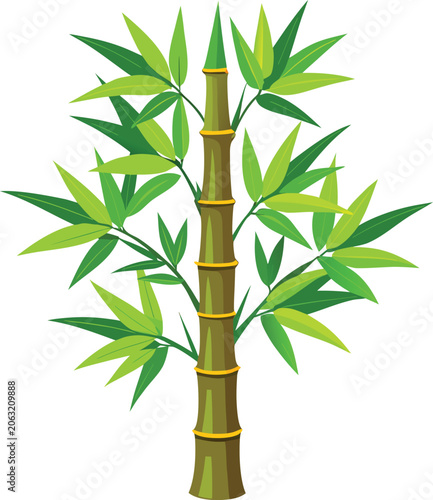 Bamboo Plant with Green Leaves stalk