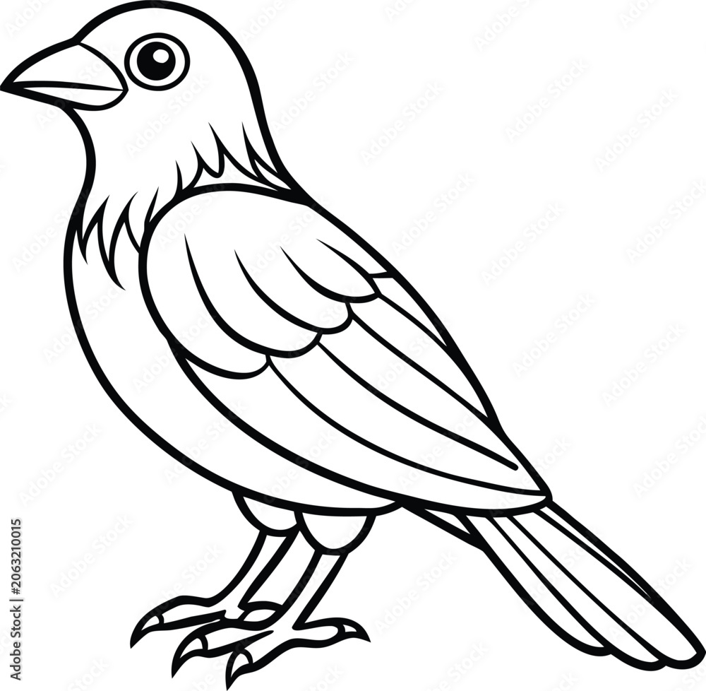 Fototapeta premium Black and white drawing of a small bird illustration