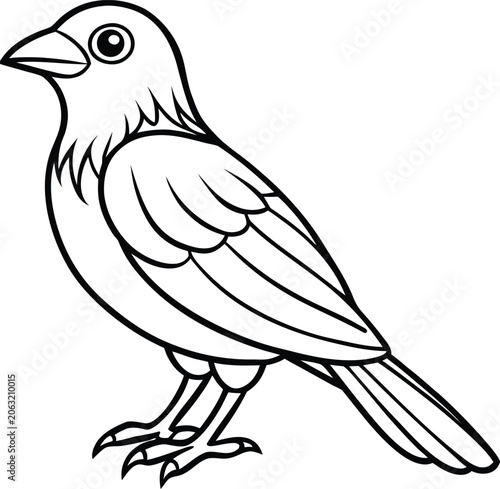 Black and white drawing of a small bird illustration