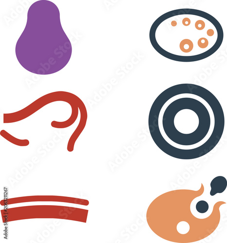 Konstfotografi Reproductive System Uterus Ovary Fallopian Cervix Endometrium Follicle
