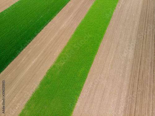 Top down aerial view of fields with various types of agriculture.