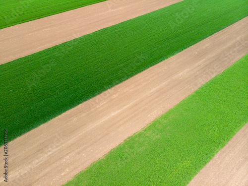 Top down aerial view of fields with various types of agriculture.