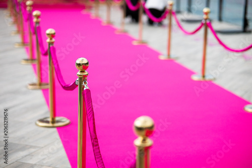 Red Carpet with Golden Stanchions and Red Velvet Ropes at VIP Event Entrance