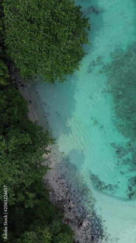 Top Down Aerial Of Jungle Shore And Turquoise Coral Reef