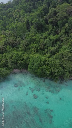 Top Down Aerial Of Lush Jungle Canopy Meeting Turquoise Reef