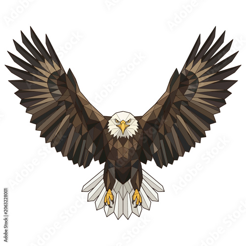 Eagle, Flying, Geometric Style, Majestic Bird, Wildlife Art