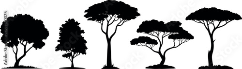 Canvastavla African savanna acacia trees vector silhouette collection flat illustration desi