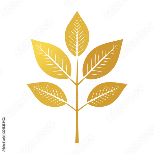 Golden leaves with stem on transparent background