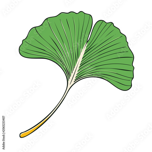 Green Ginkgo Leaf Illustration on Transparent Background